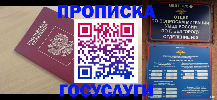 прописка законно в Кораблино